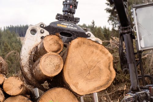 Palfiner Epsilon Kran lädt Holzstämme auf Holztransporter
